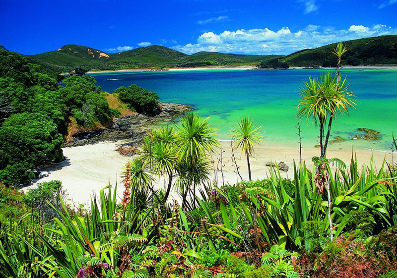 New Zealand's Best Beaches in Northland