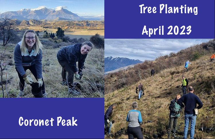 First Light Travel Tree Planting April 2023