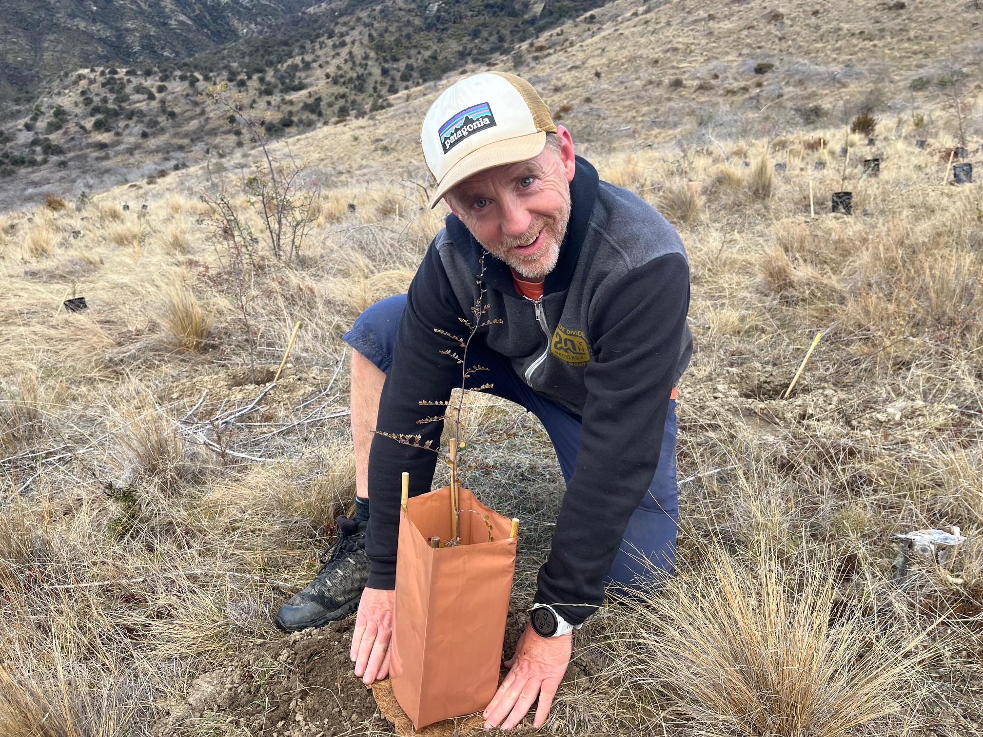 Director First Light Travel Planting Tree's