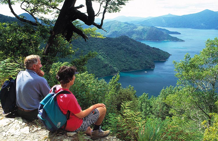 enjoying the view on Queen Charlotte track