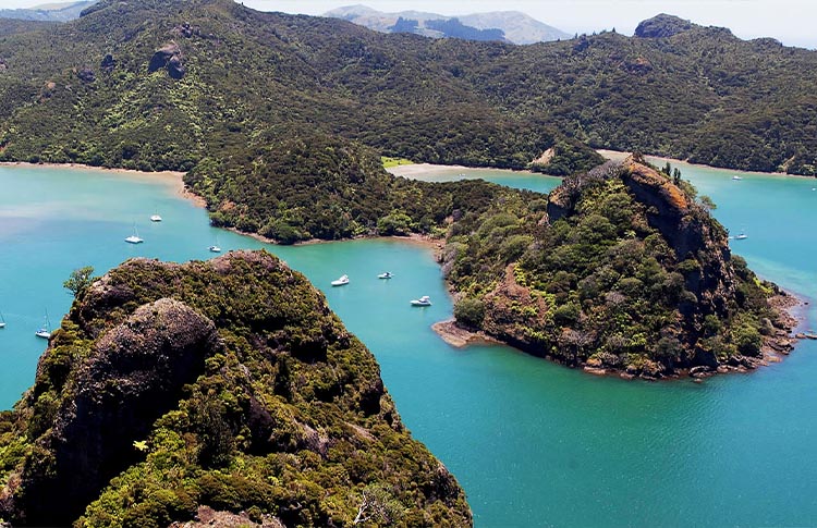 Whangaroa Harbour