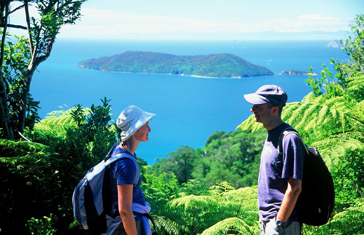 Ships Cove Lookout