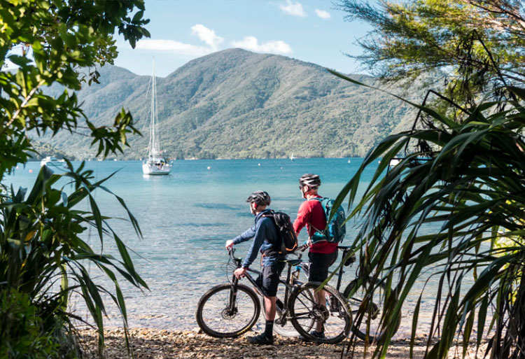 Mountain biking the Queen Charlotte Track