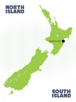 Hawkes Bay