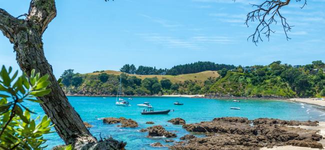 Auckland Beaches 