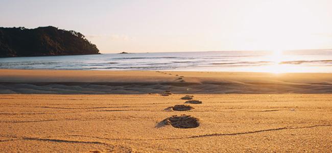 NZ Beach