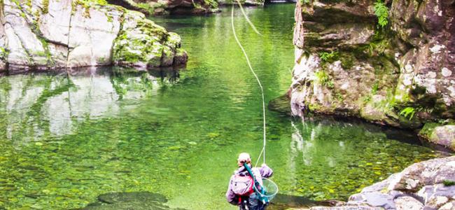 New Zealand Fly Fishing Tour