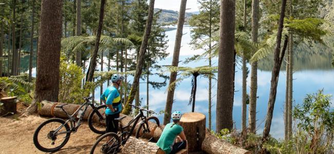 Rotorua Lake Loop