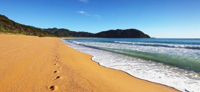 Foot Prints on Abel Tasman