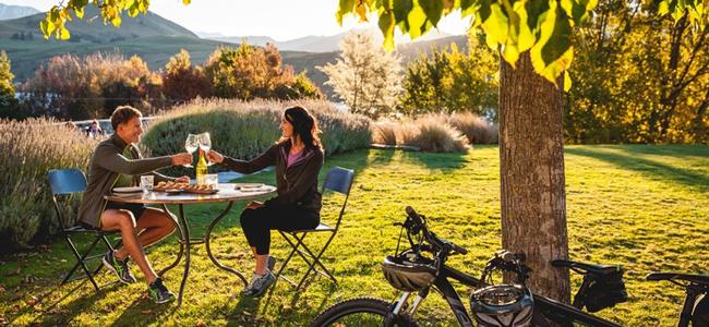 Marlborough Vineyard Cycle.