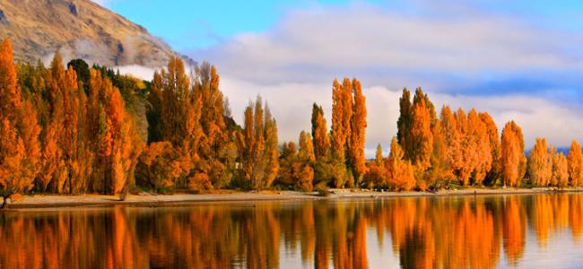 Lake Wanaka