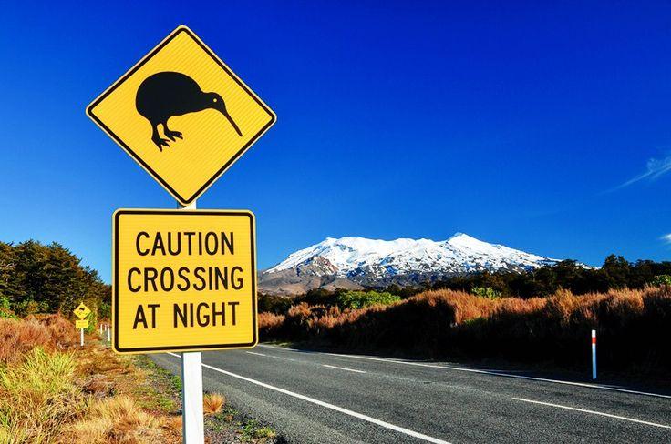 Road Sign National Park