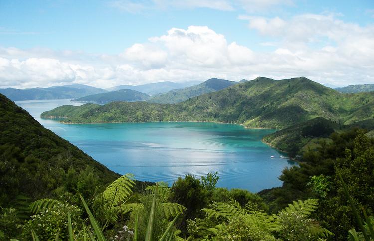 marlborough sounds