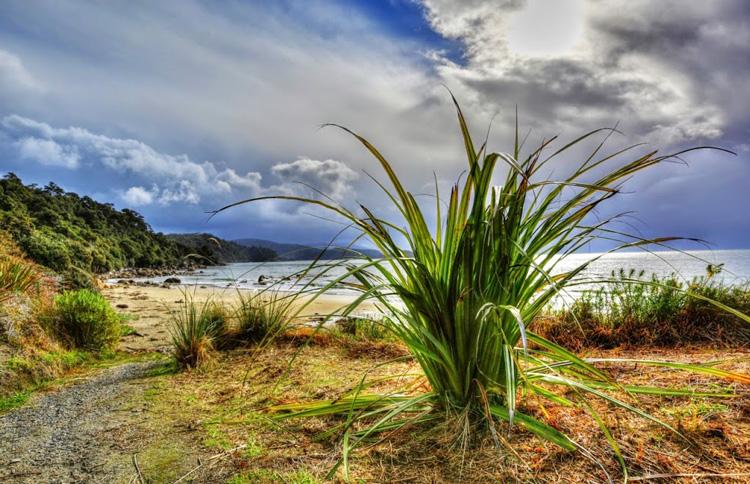 Rakiura National Park: 