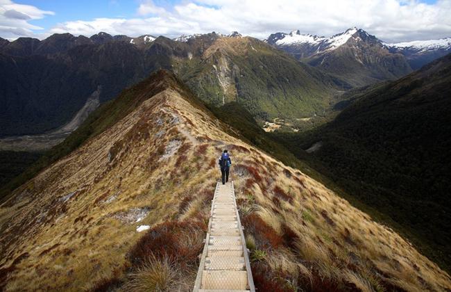 Kepler Track