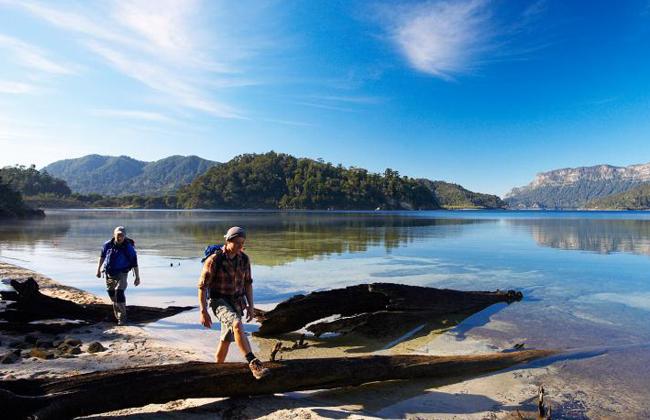  Lake Waikaremoana Walking Track