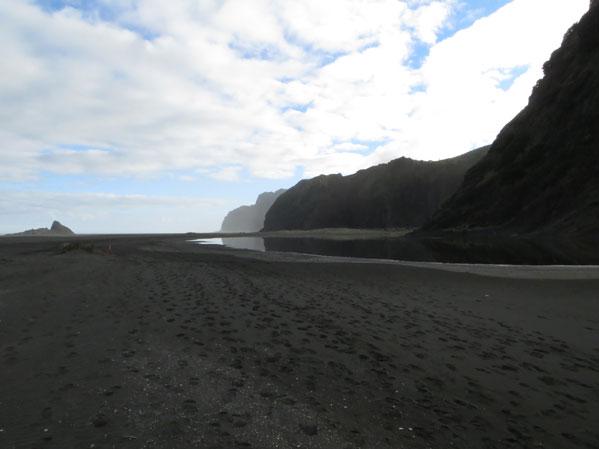 Black Sand West Coast Beaches