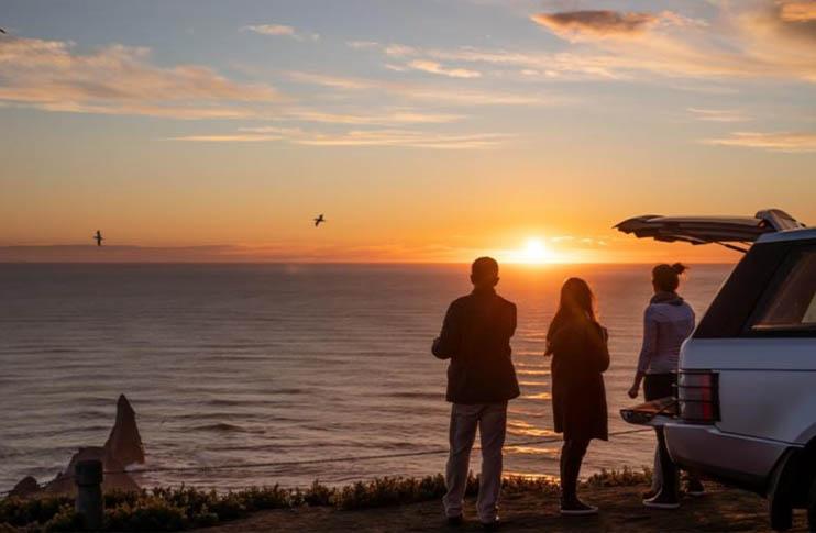 Overland Gannet Safaris in Hawkes Bay