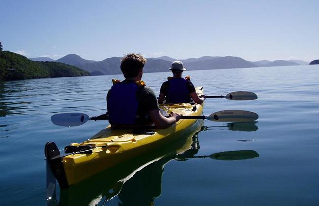 kayaking in the Marlborough Sounds