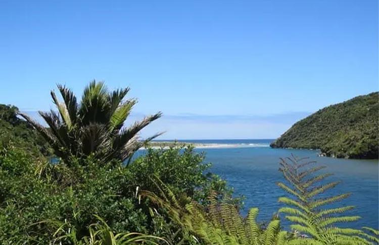 Heaphy Coastline