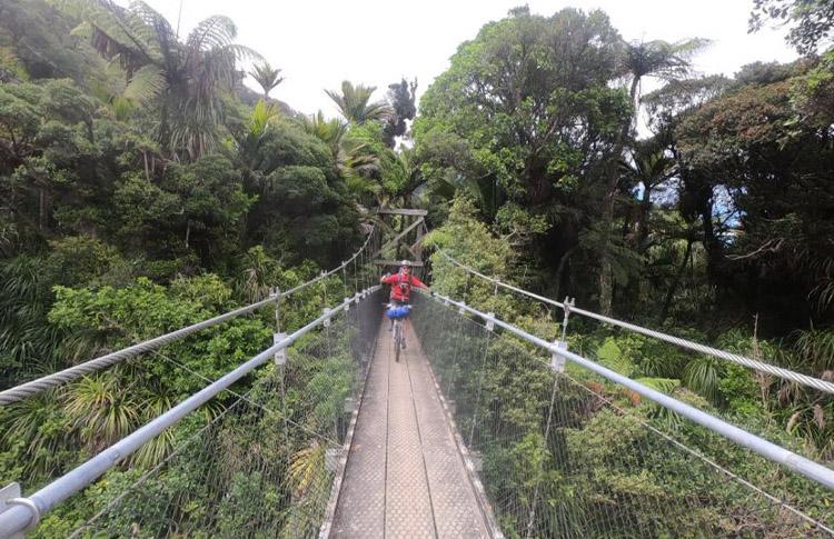 Heaphy Track Bridge