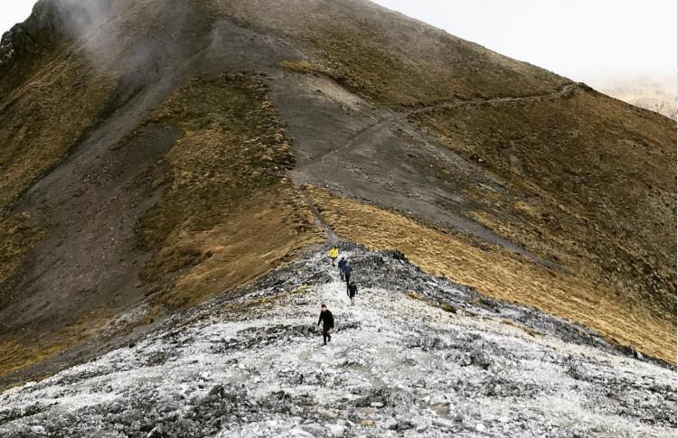 Kepler Track