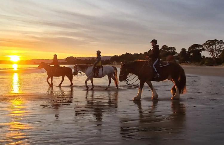 Horse hack and stay sunrise beach rides in Golden Bay