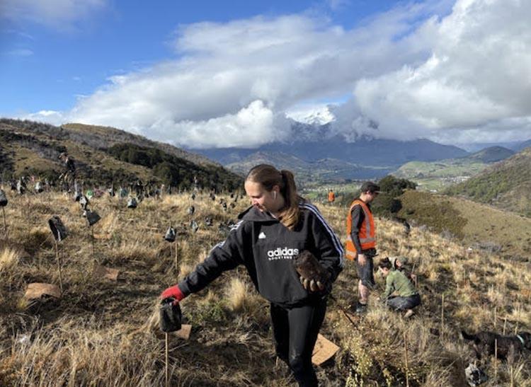 Zara planting