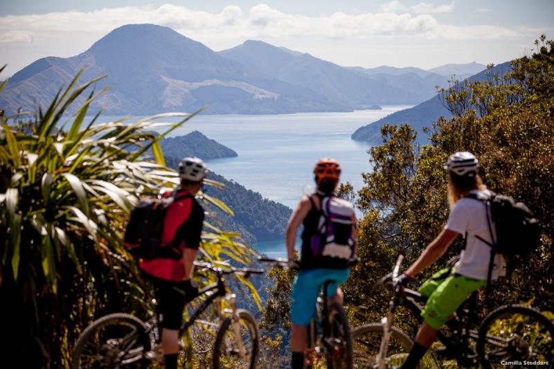 mtb in the marlborough sounds