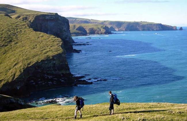 Views on the Banks Peninsula Track