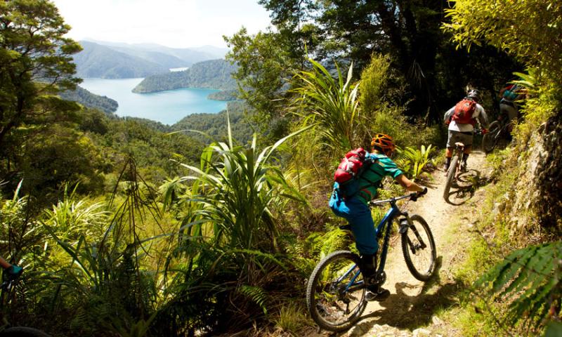 mountain biking