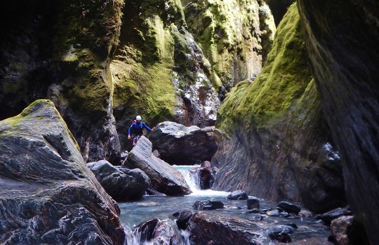 True New Zealand Wilderness