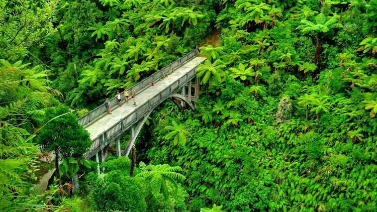 Bridge to Nowhere