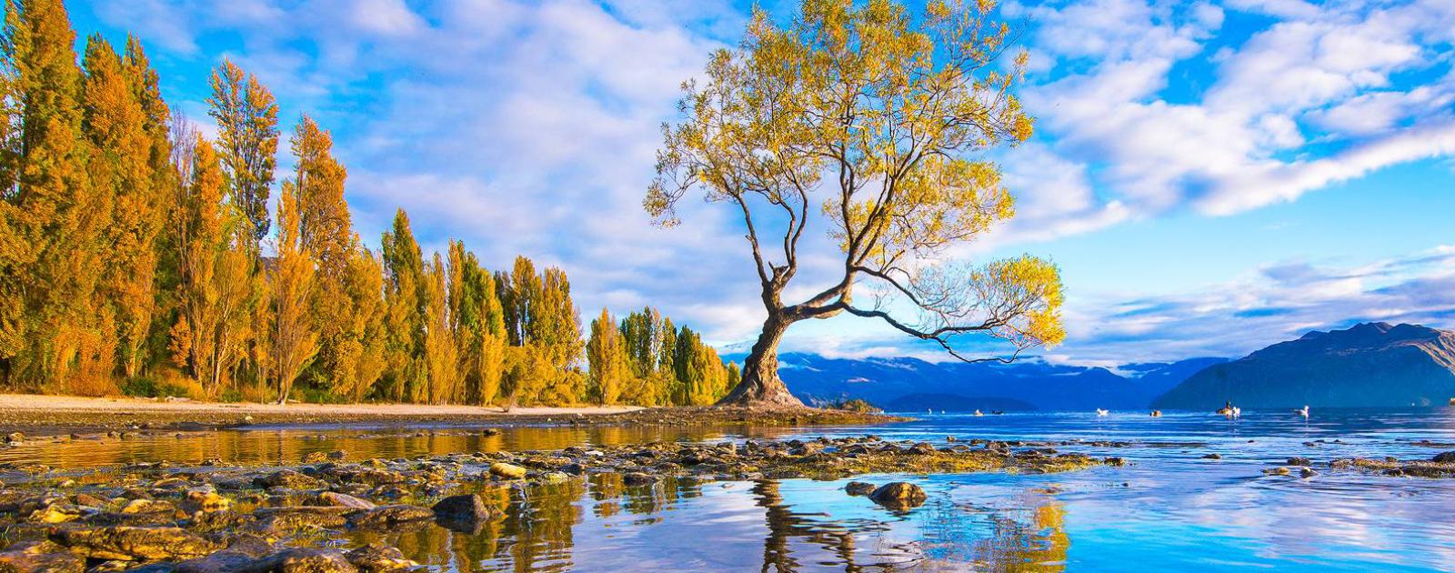 Driving around Lake Wanaka