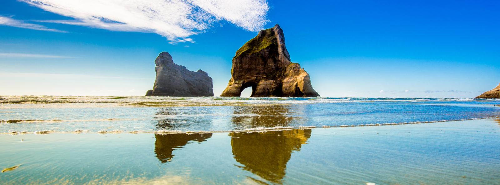 New Zealand Beach Scene