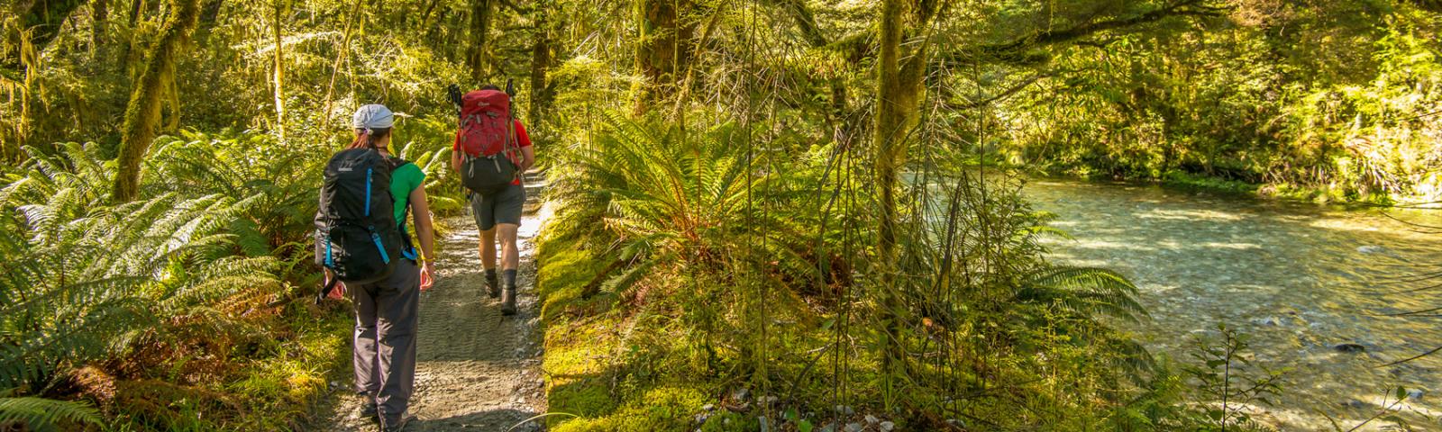 NZ Great Walks, choose the right one for you.