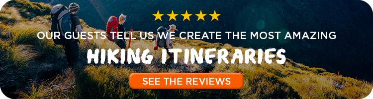 NeNew Zealand Hiking Reviews