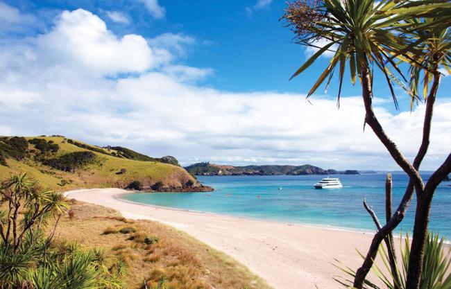 Cruising the Bay of Islands