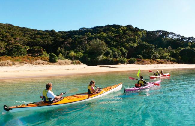 Kayaking Bay of Islands