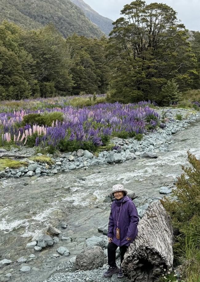 Lupins in New Zealand