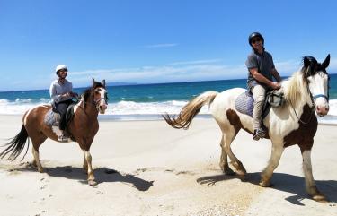 Horse Riding