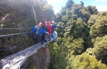 Rotorua Canopy Tours