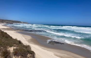 new Zealand beach