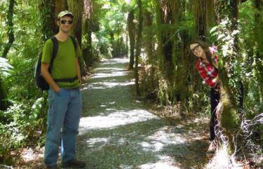New Zealand Bush