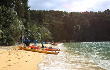 Kayaking the coromandel