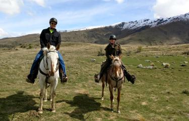 Horse Riding NZ
