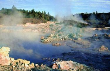 Mud Pools Rotorua