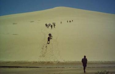 Northland Sand Dunes