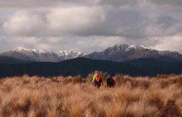 Hiking in New Zealand