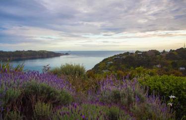 Waiheke Island